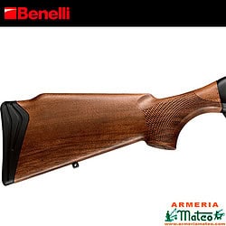 Benelli Argo E