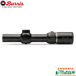 Burris Four XE 1-4x24