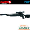 Carabina Gamo Coyote Black Whisper