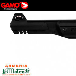 gamo P900