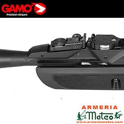 Gamo Roadster