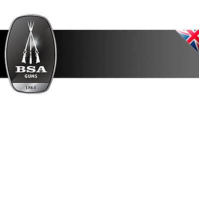 BSA