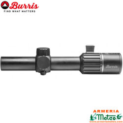 Burris RT-6 1-6X24