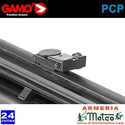 Carabina Gamo Arrow