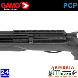 Carabina Gamo Arrow