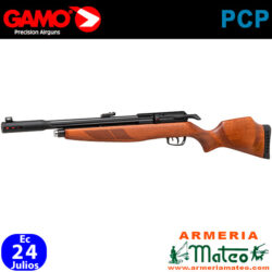 Carabina Gamo Riser